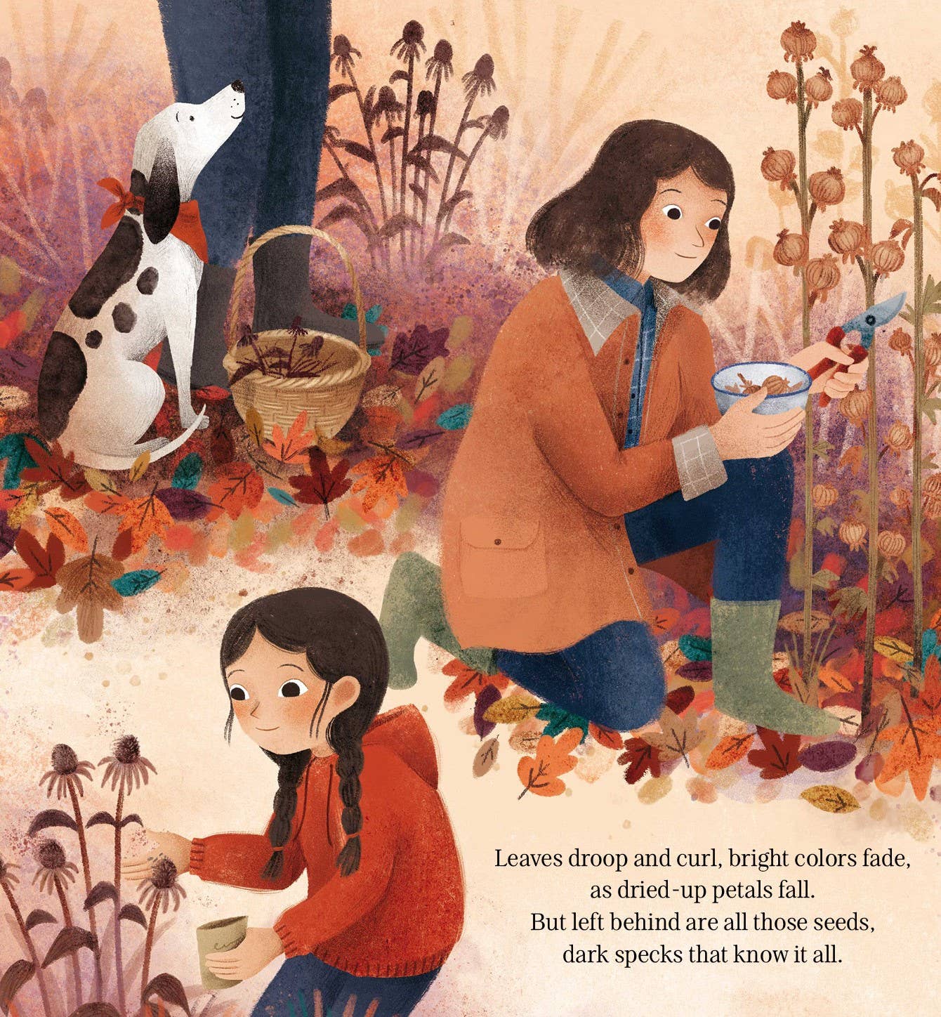 Every Little Seed Picture Book
