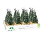 LED Bottle Brush Christmas Tree
