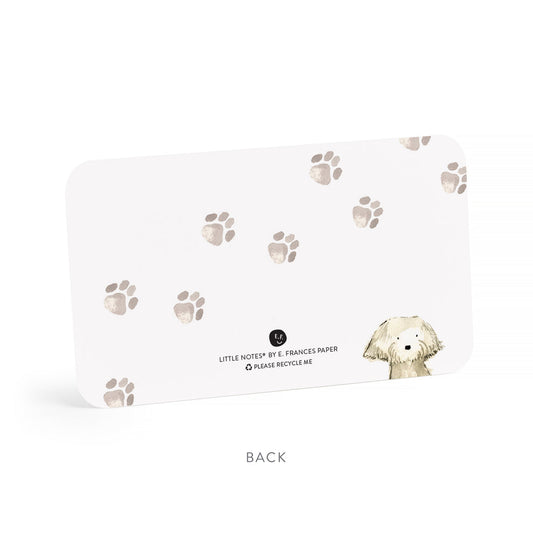 Dog Days Little Notes – Boxed Set of 85 Mini Notecards