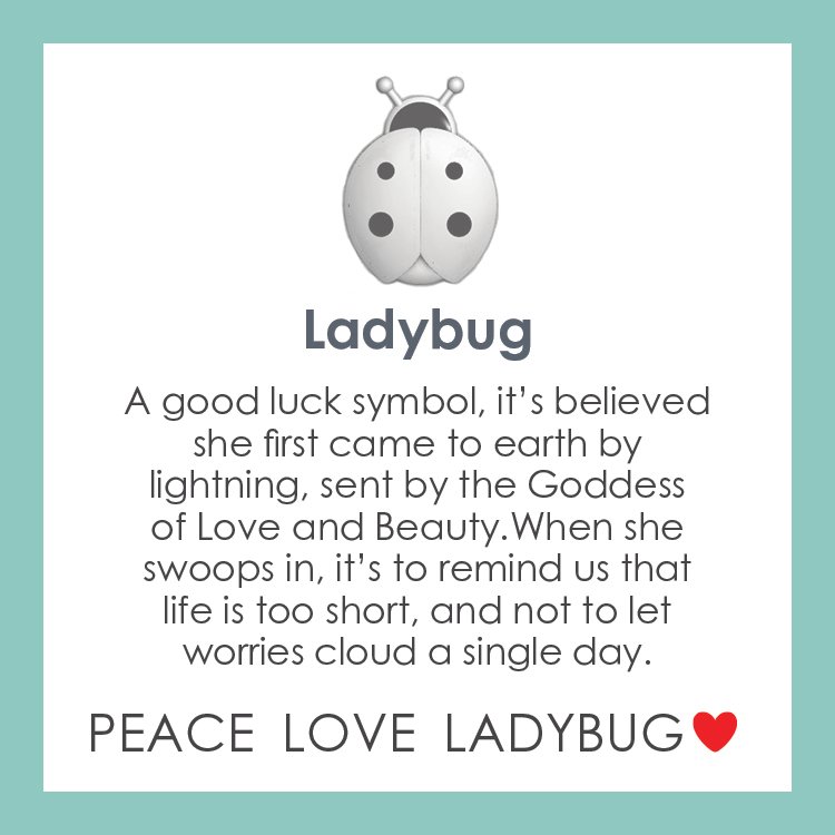 Ladybug Silver Pendant