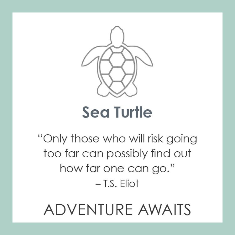 Sea Turtle Pendant