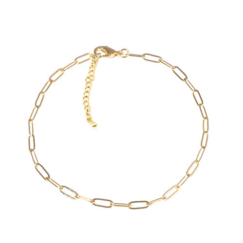 Paperclip Anklet