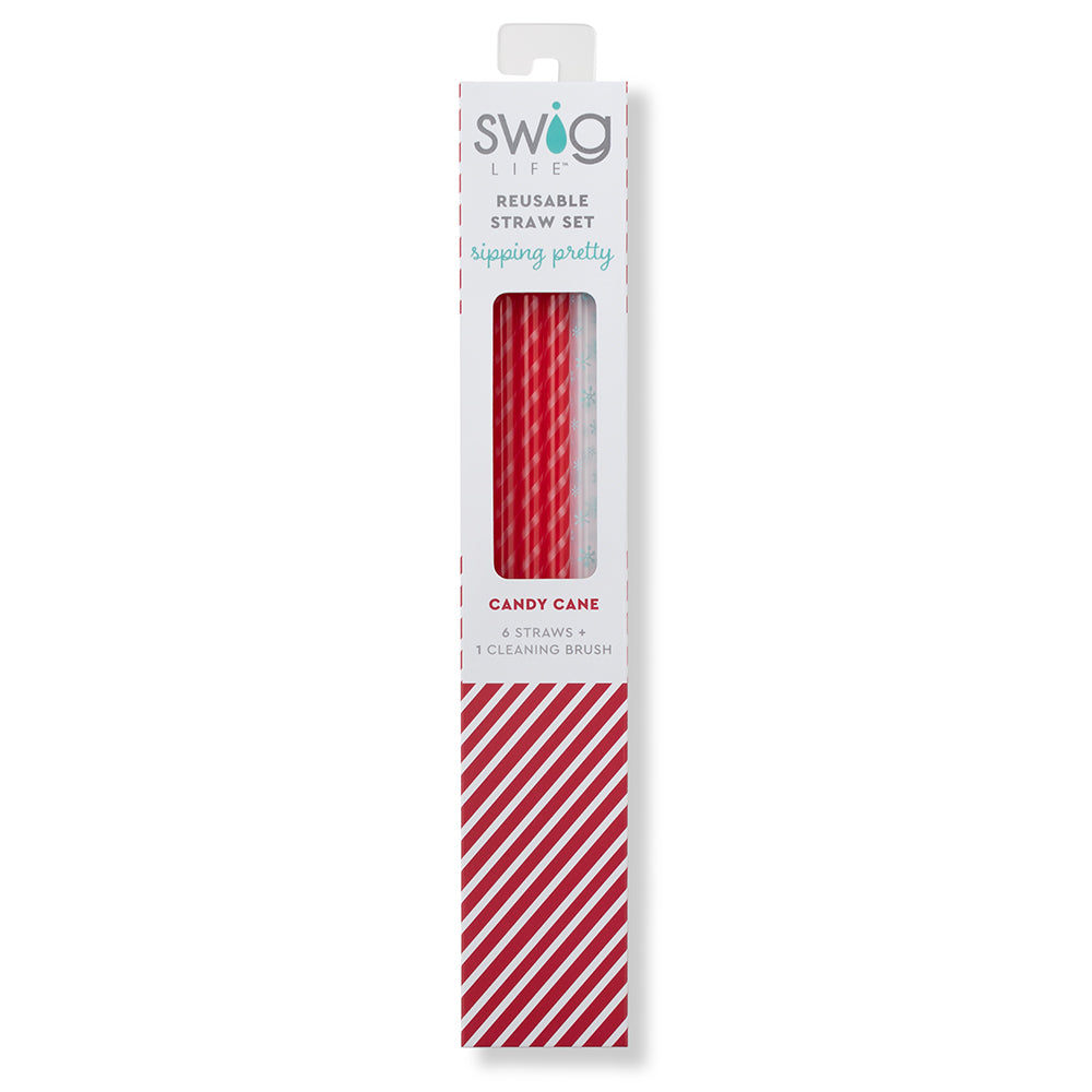 Candy Cane & Snowflake Reusable Straw Set