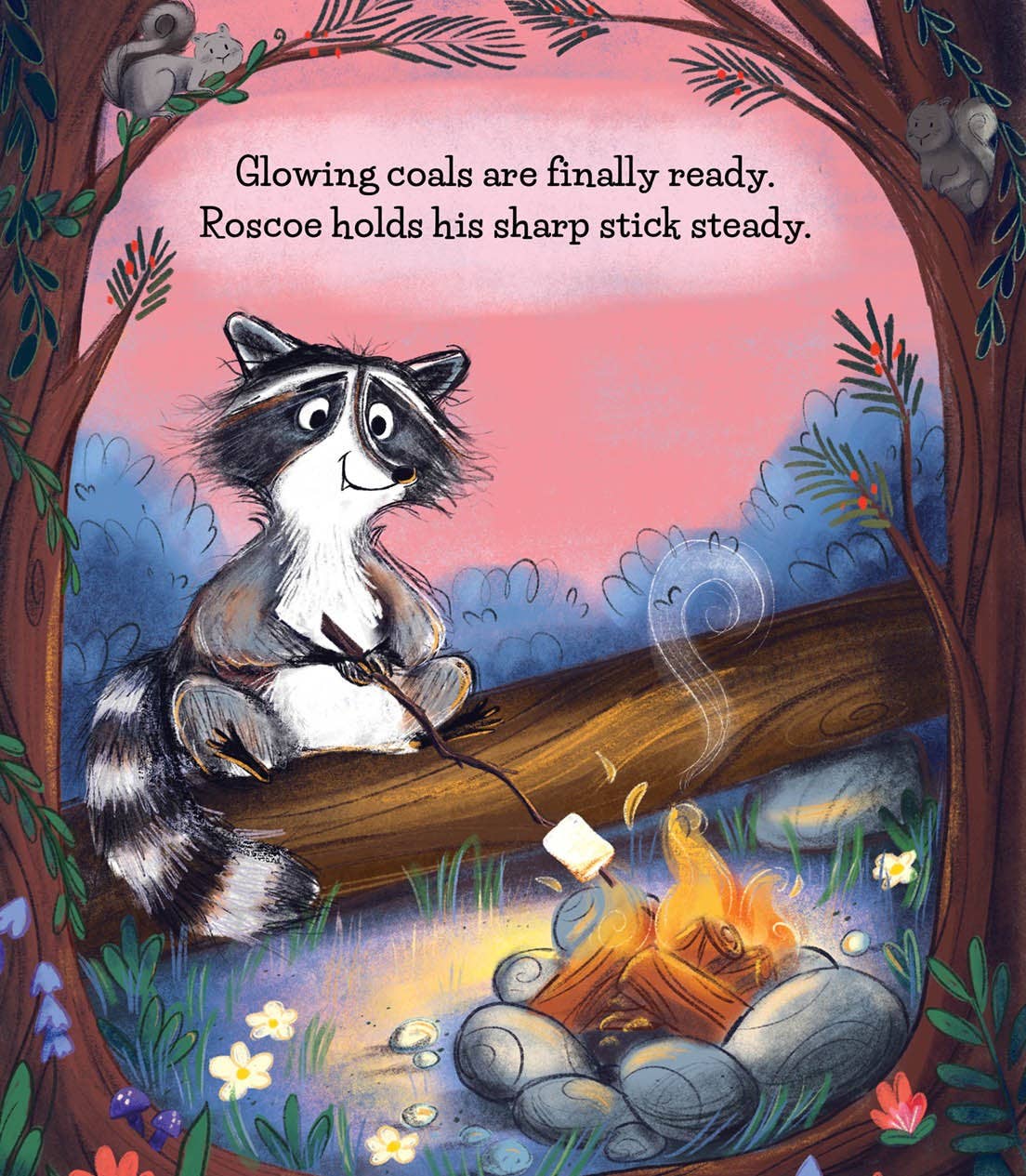 Make More S'mores Picture Book