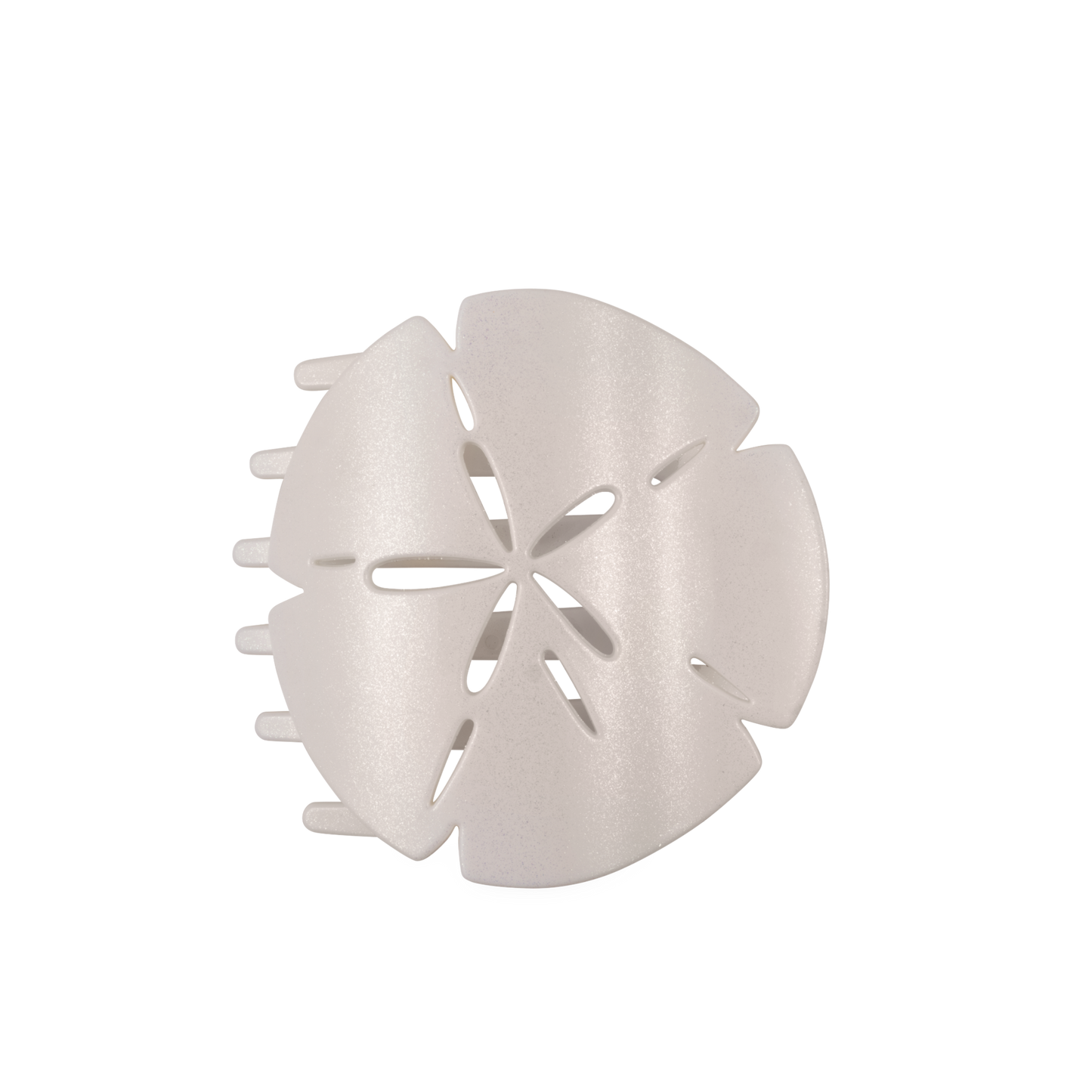 Sand Dollar | Large | Flat Shape Hair Clip