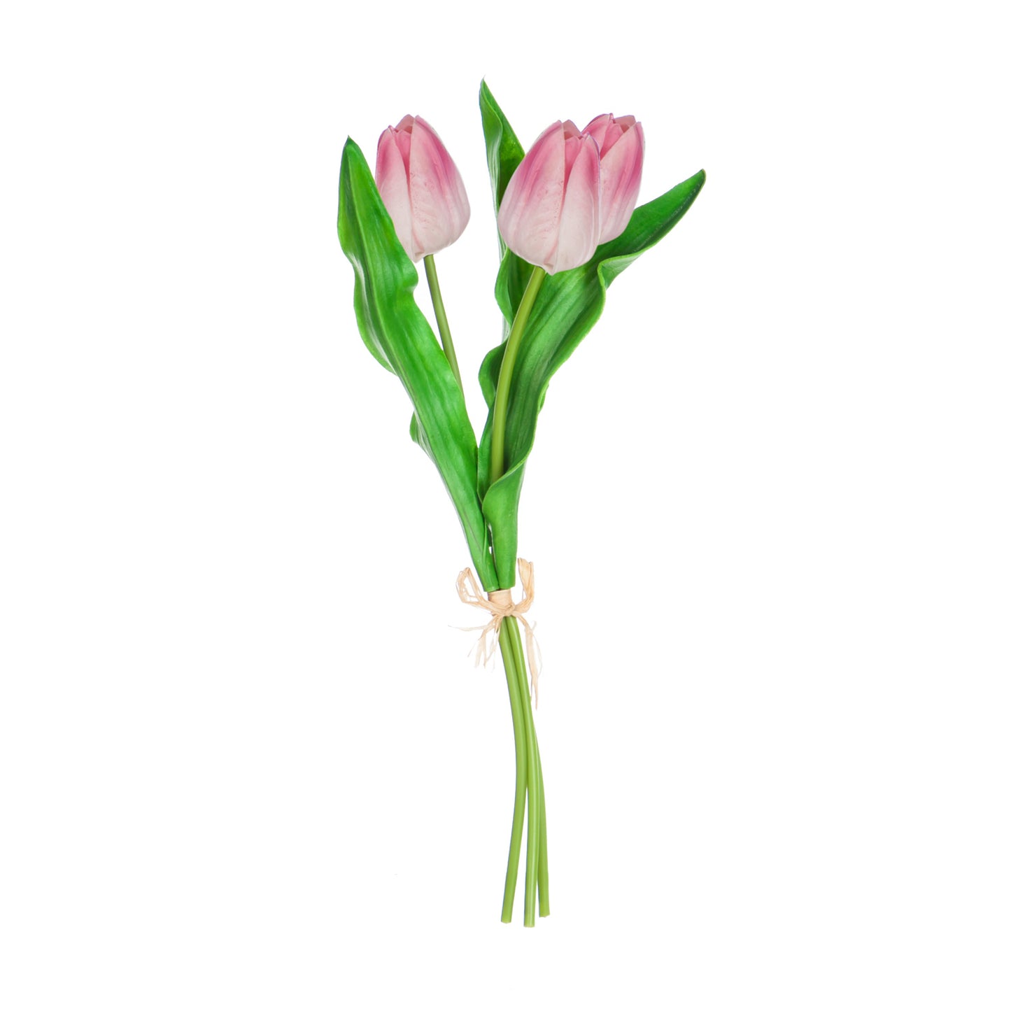 Tulip Decorative Stems