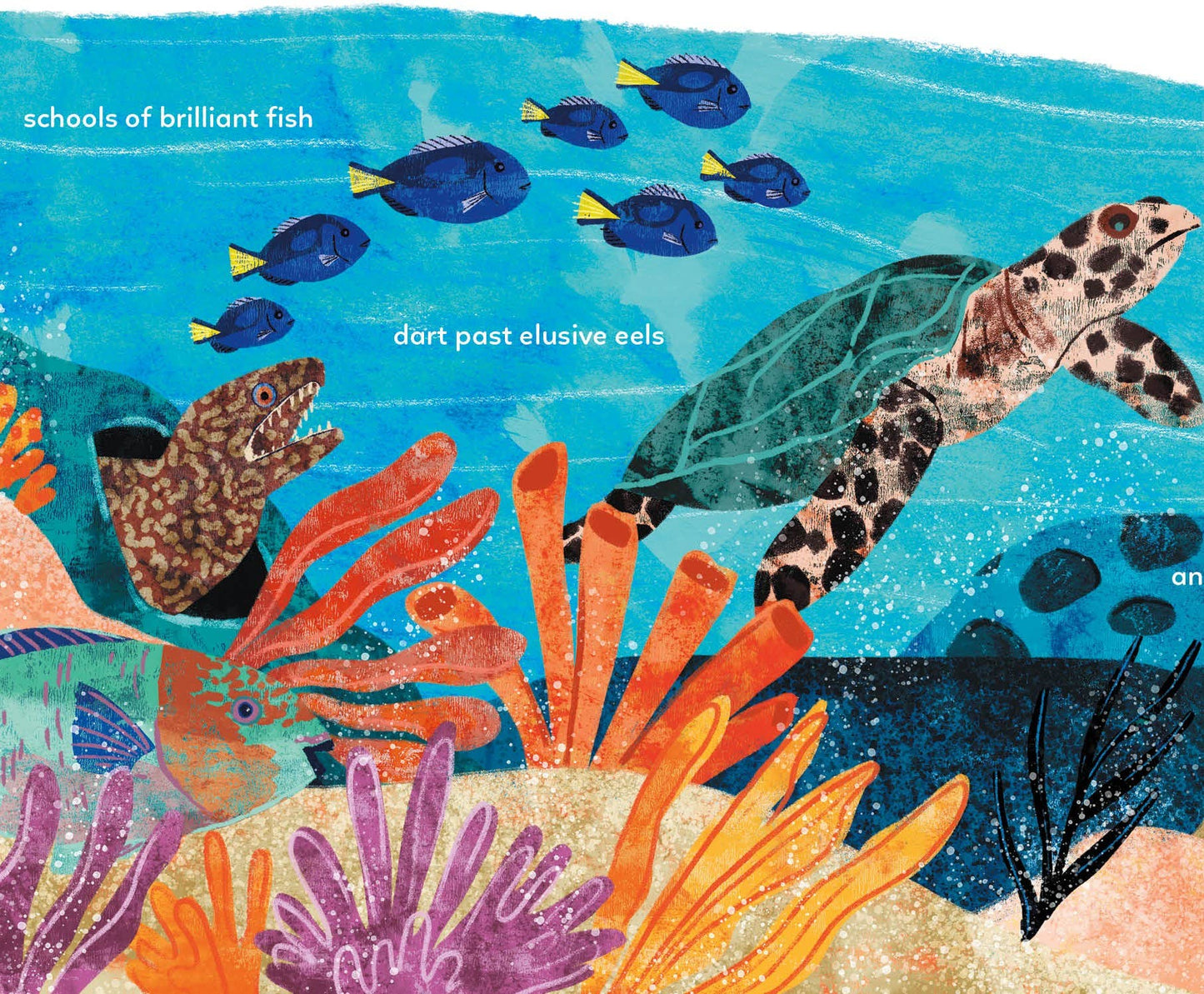 The Ocean Blue and You Picture Book