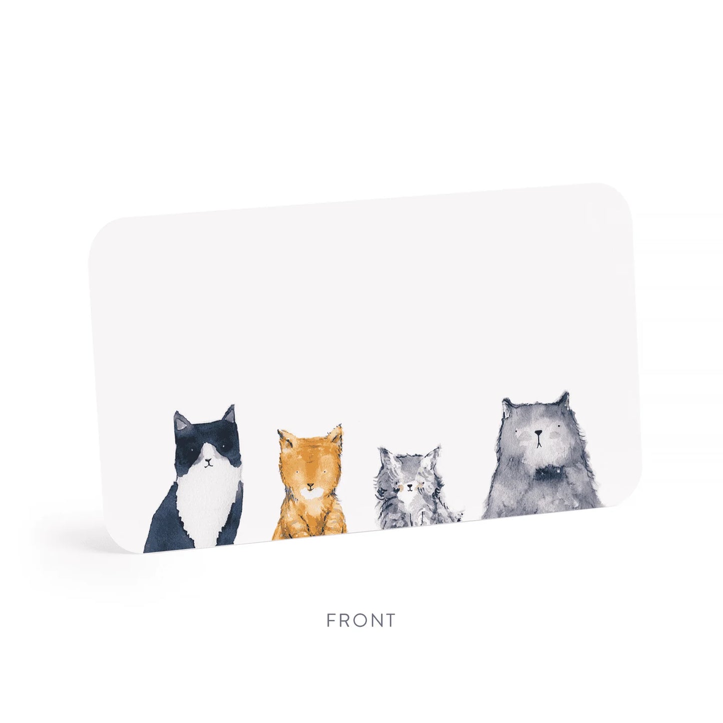 Cat's Meow Little Notes – Boxed Set of Mini Notecards