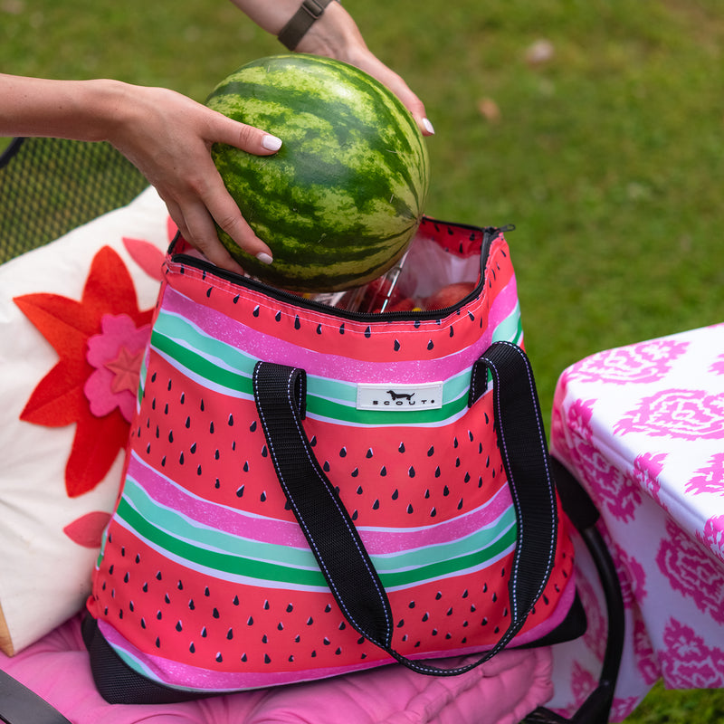Soft Picnic Cooler Open Bar - Melondramatic