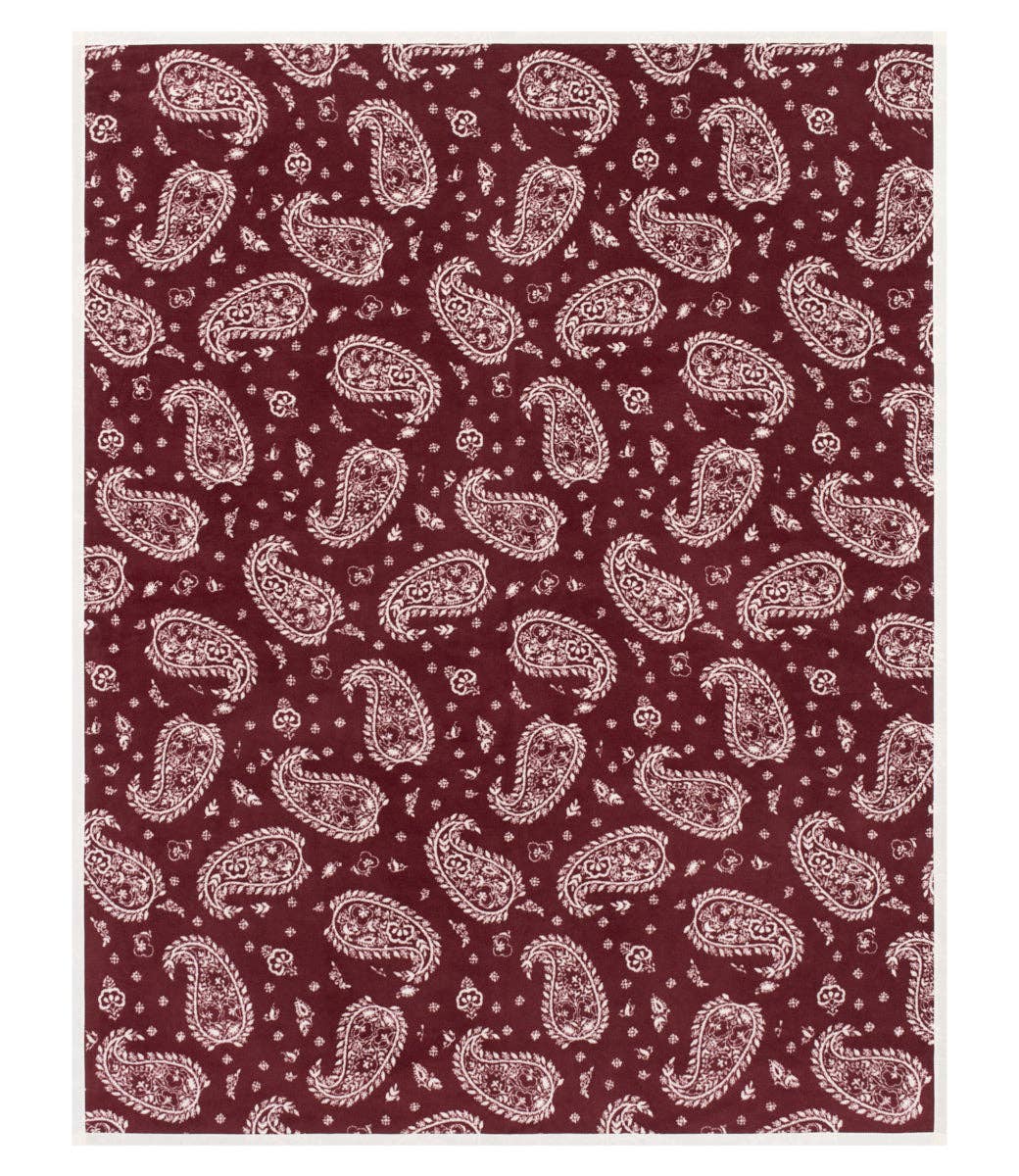 Palmer Paisley Blanket - Original Size