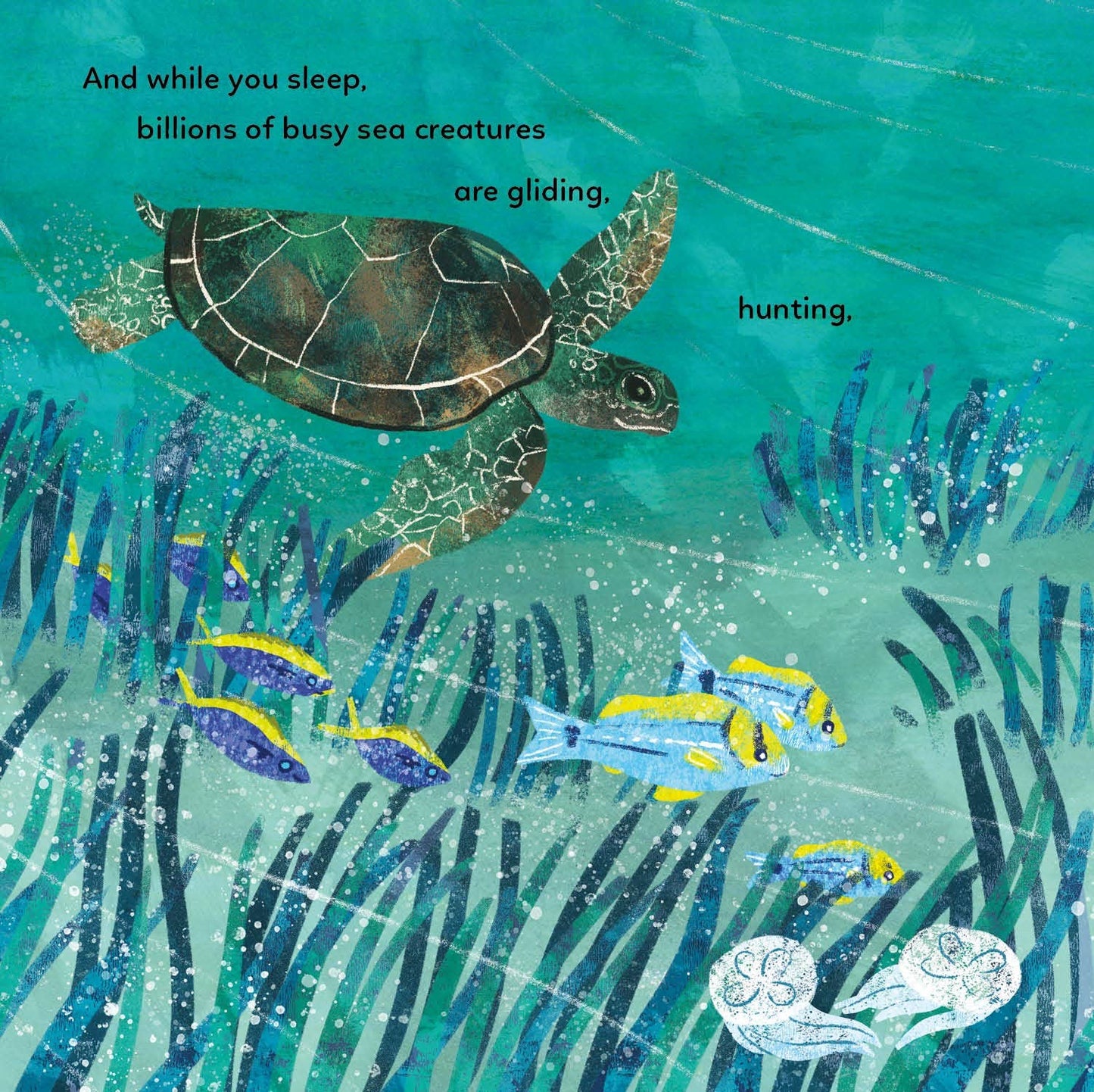 The Ocean Blue and You Picture Book
