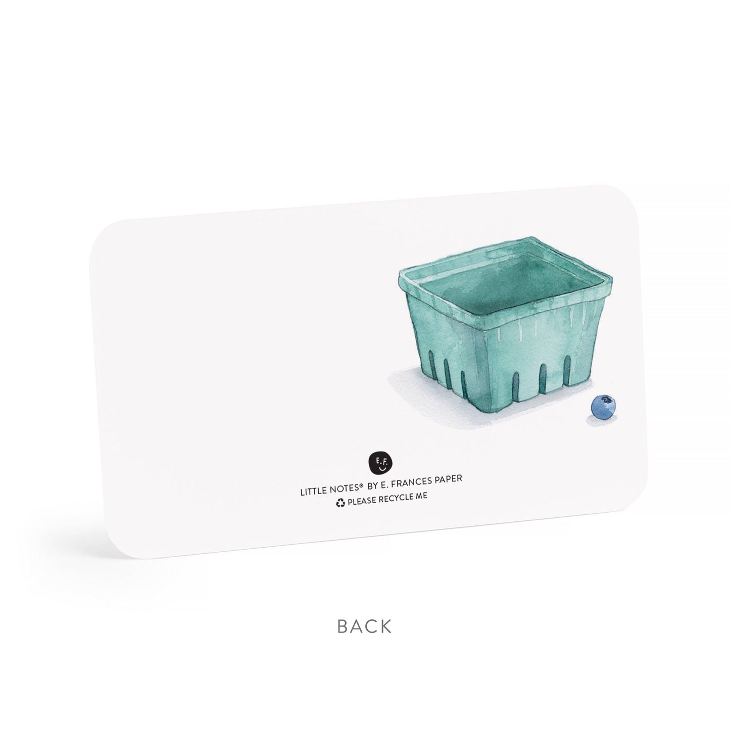 Blueberry Little Notes® – Boxed Set of 85 Mini Notecards