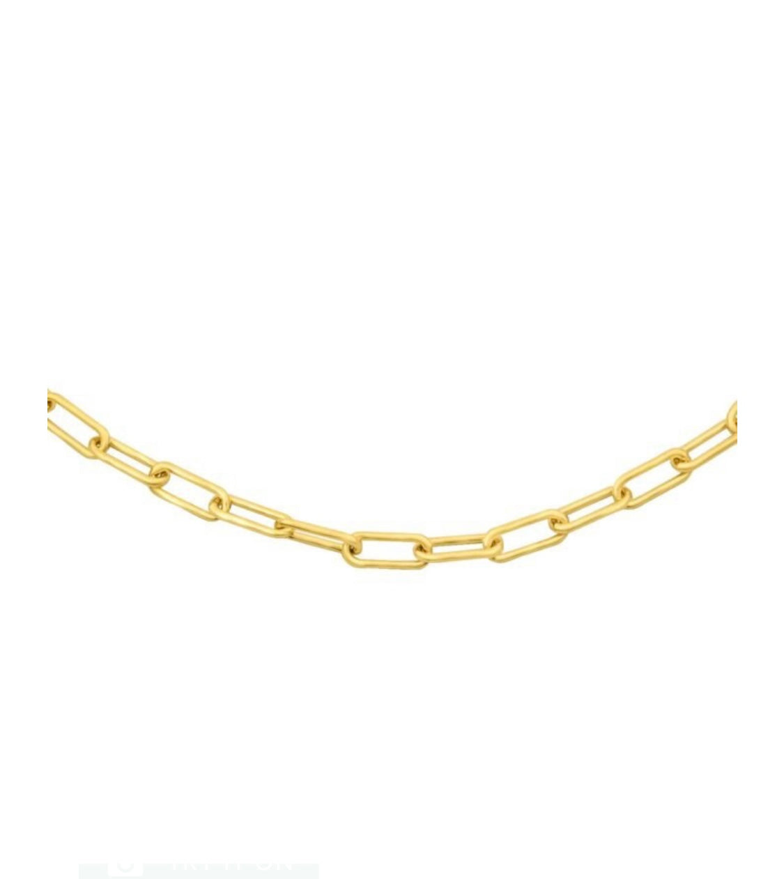 Oval Chain Gold (Paperclip)