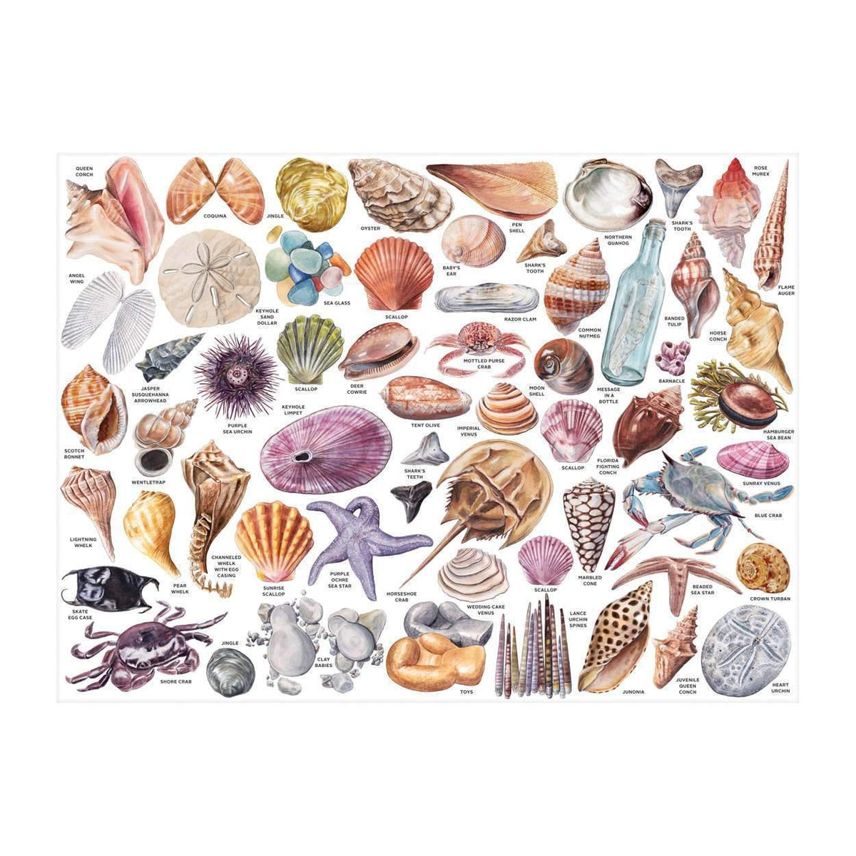The Beachcomber's Companion 1000 Piece Jigsaw Puzzle With Shaped Pieces
