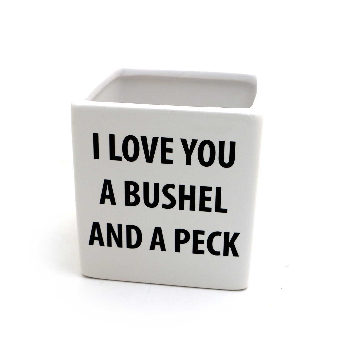 Bushel and a Peck Planter, indoor planter, container