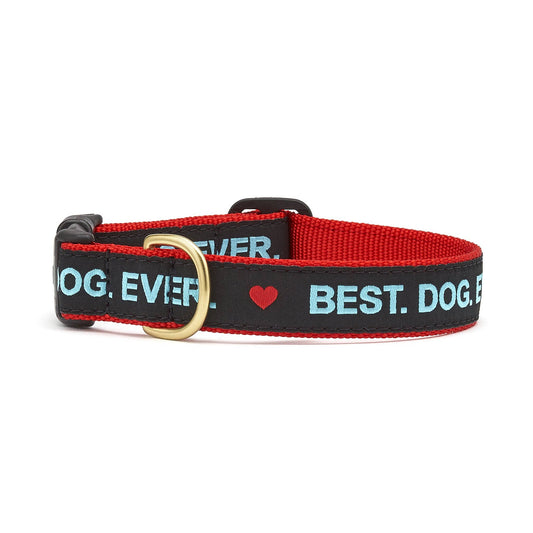 L Wide Best Dog Ever Dog Collar